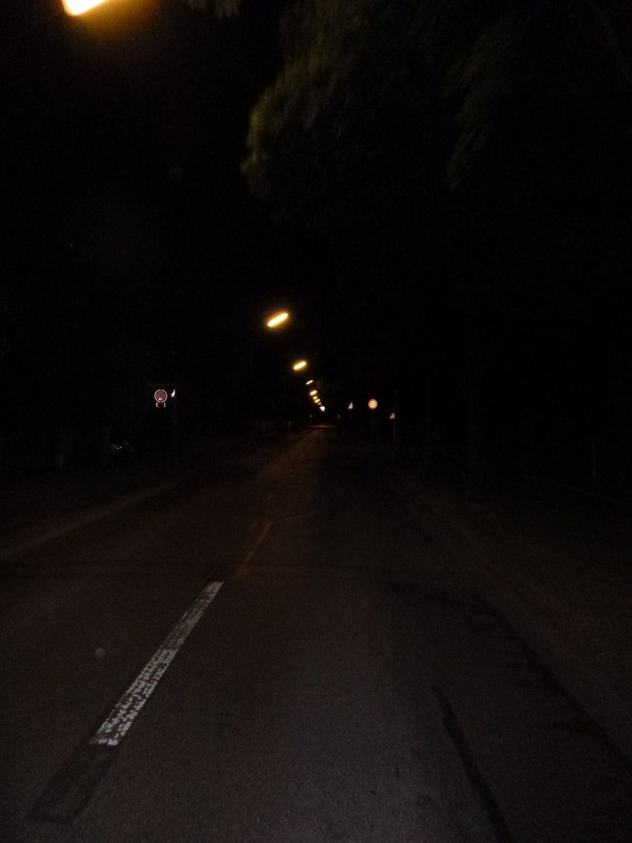 P1000010.JPG