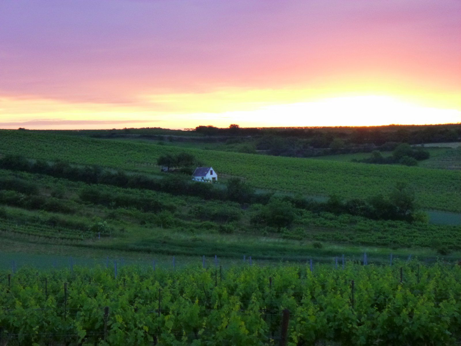 P1000036.JPG