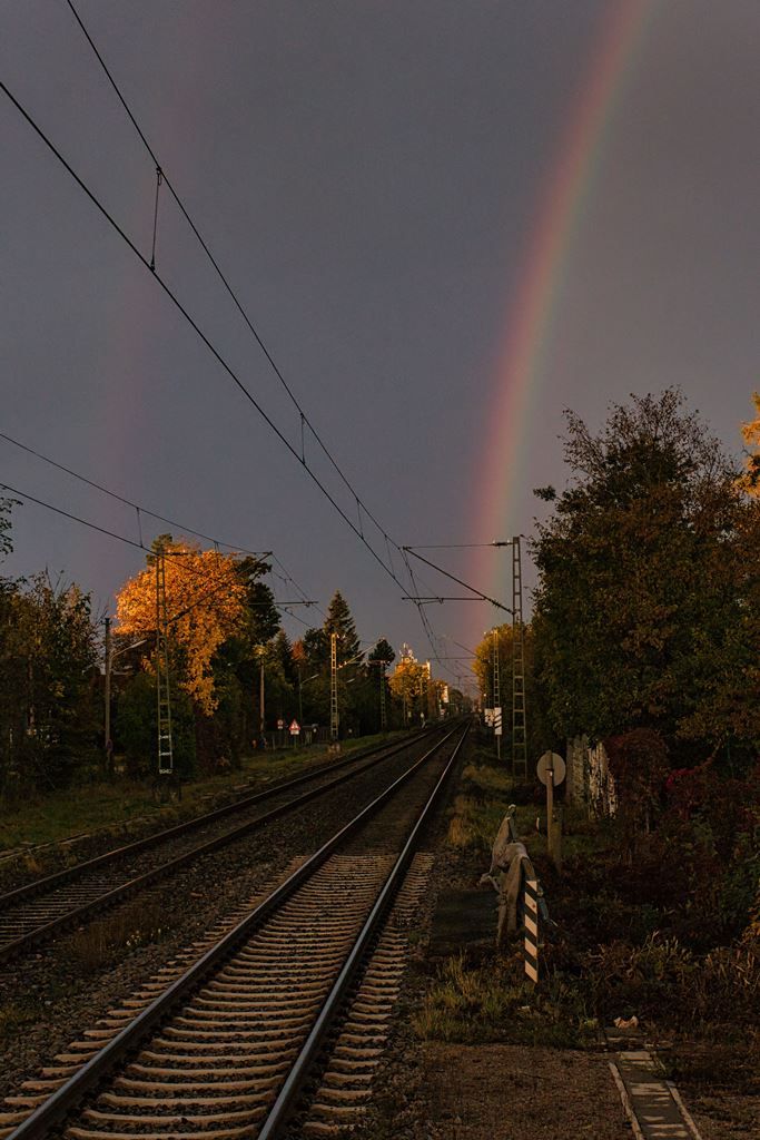 P1000079.jpg