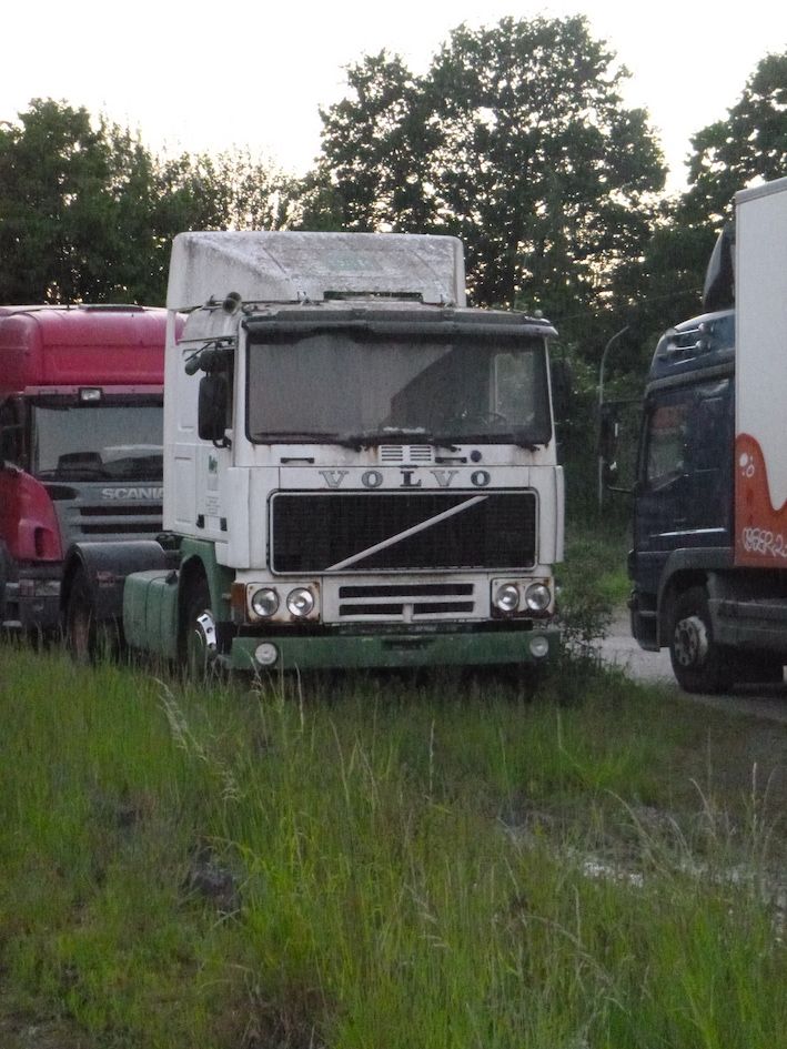 P1000087.JPG