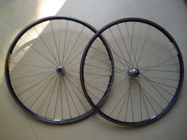 P1000538.JPG