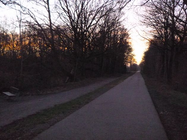 P1000568.JPG