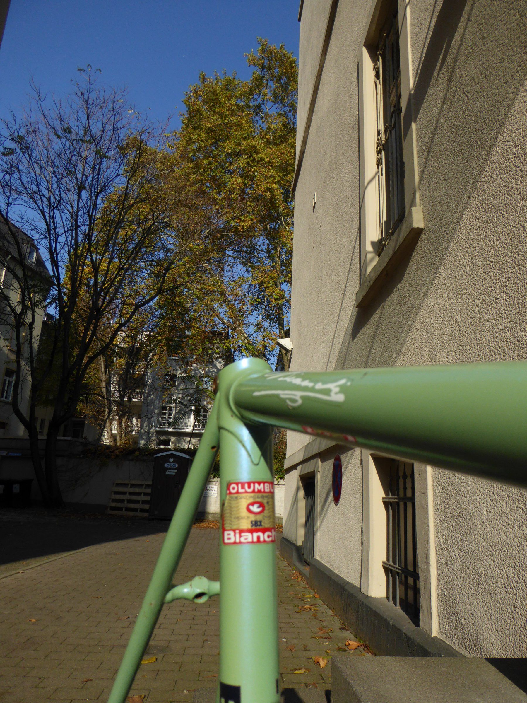 P1000828.JPG
