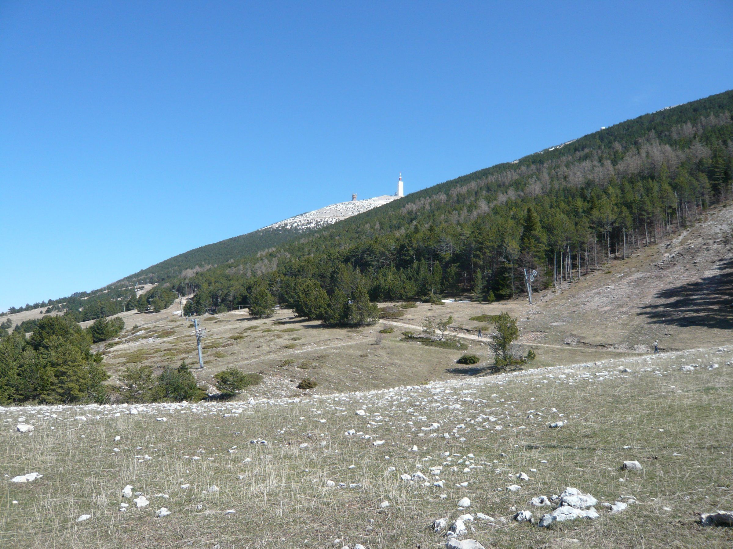 p1000941.jpg