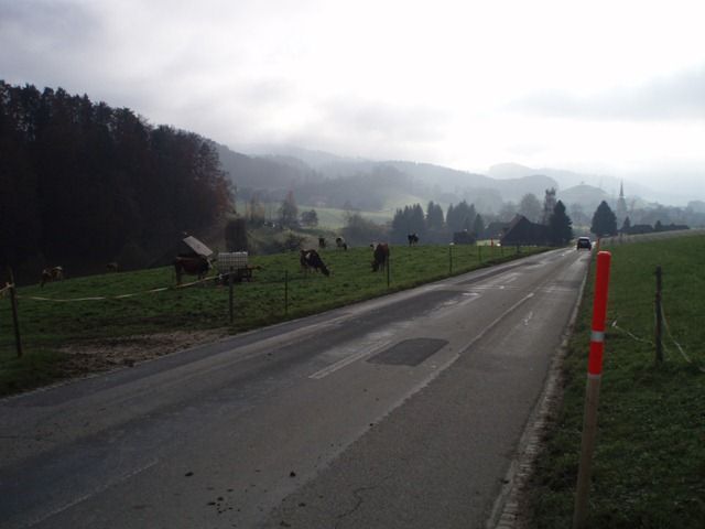 P1010043.JPG