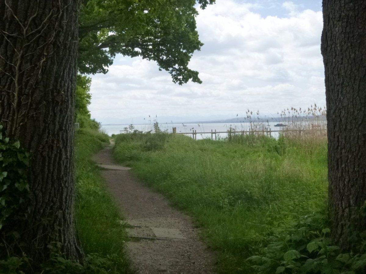 P1010132.JPG