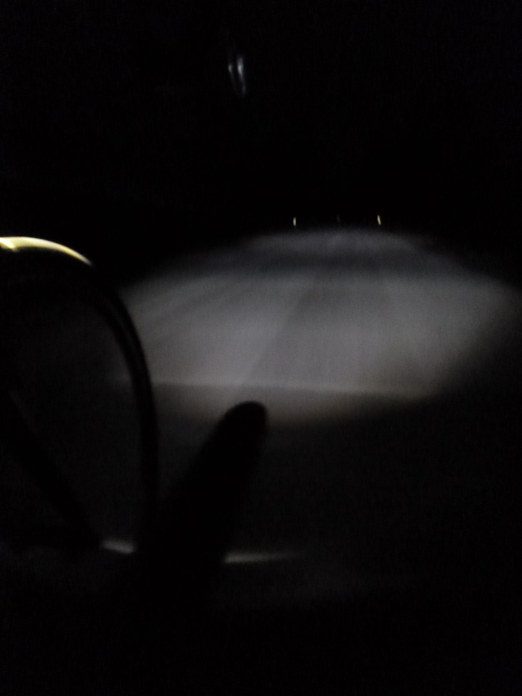 P1010247.JPG