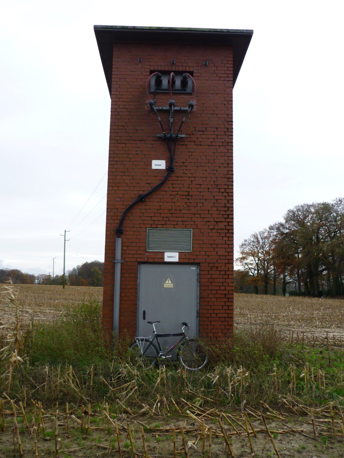 P1010738.JPG