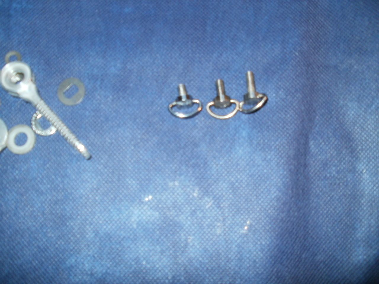 P1010817.JPG