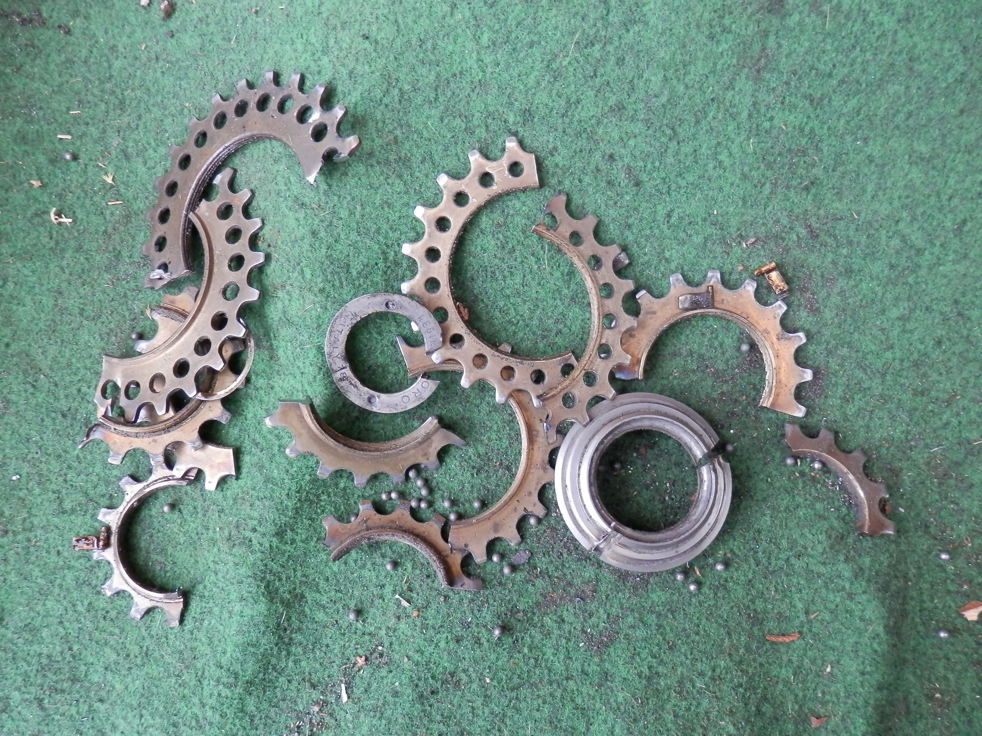 P1010997a.jpg