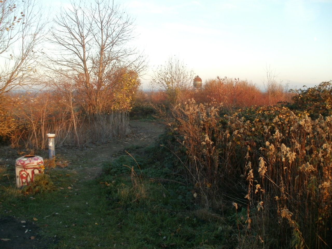P1012489.JPG