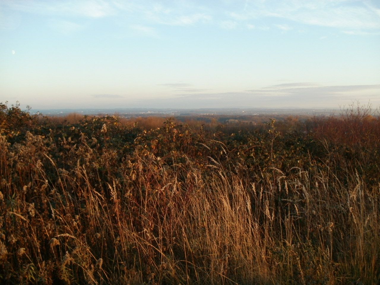 P1012490.JPG