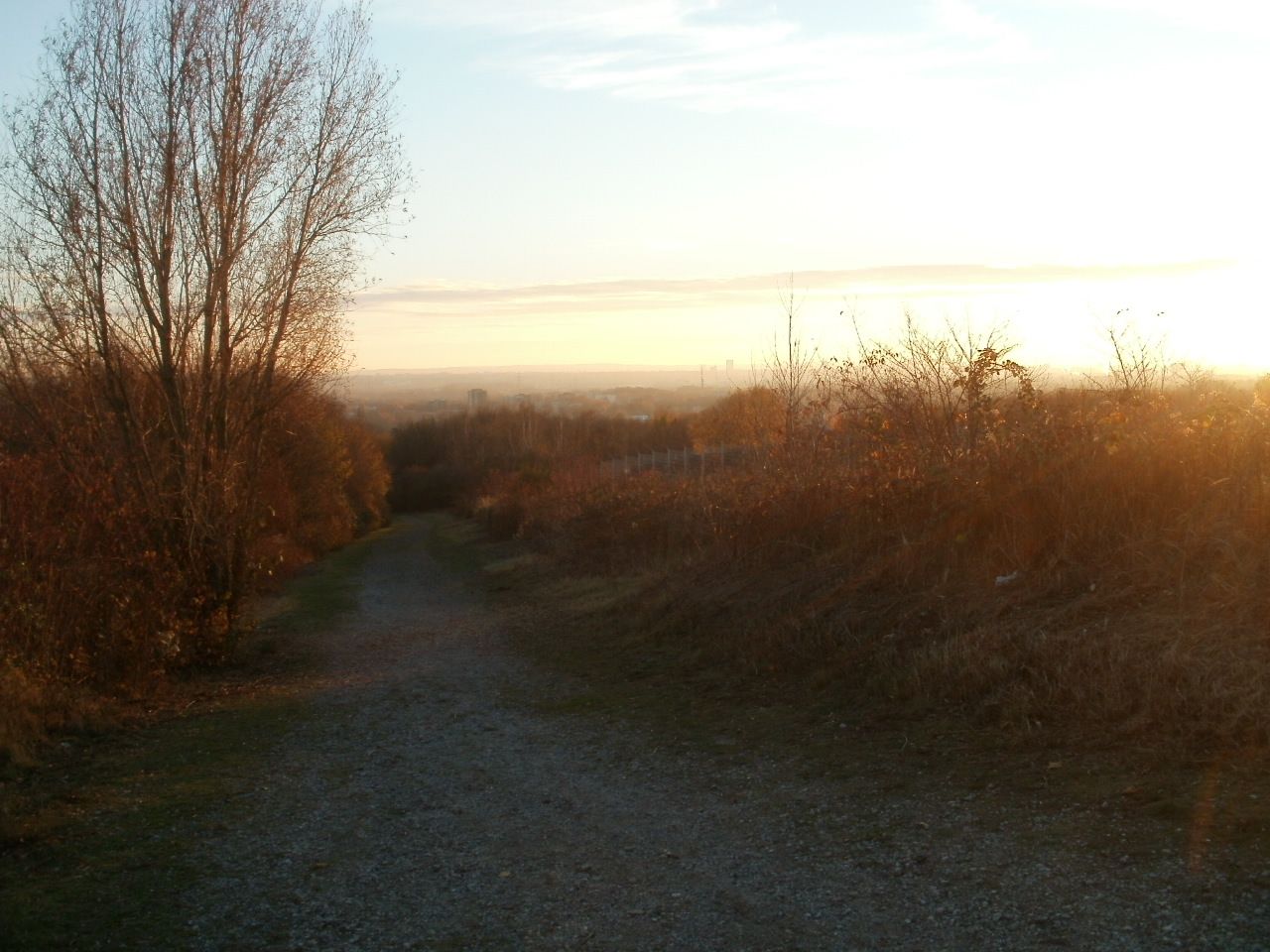 P1012491.JPG
