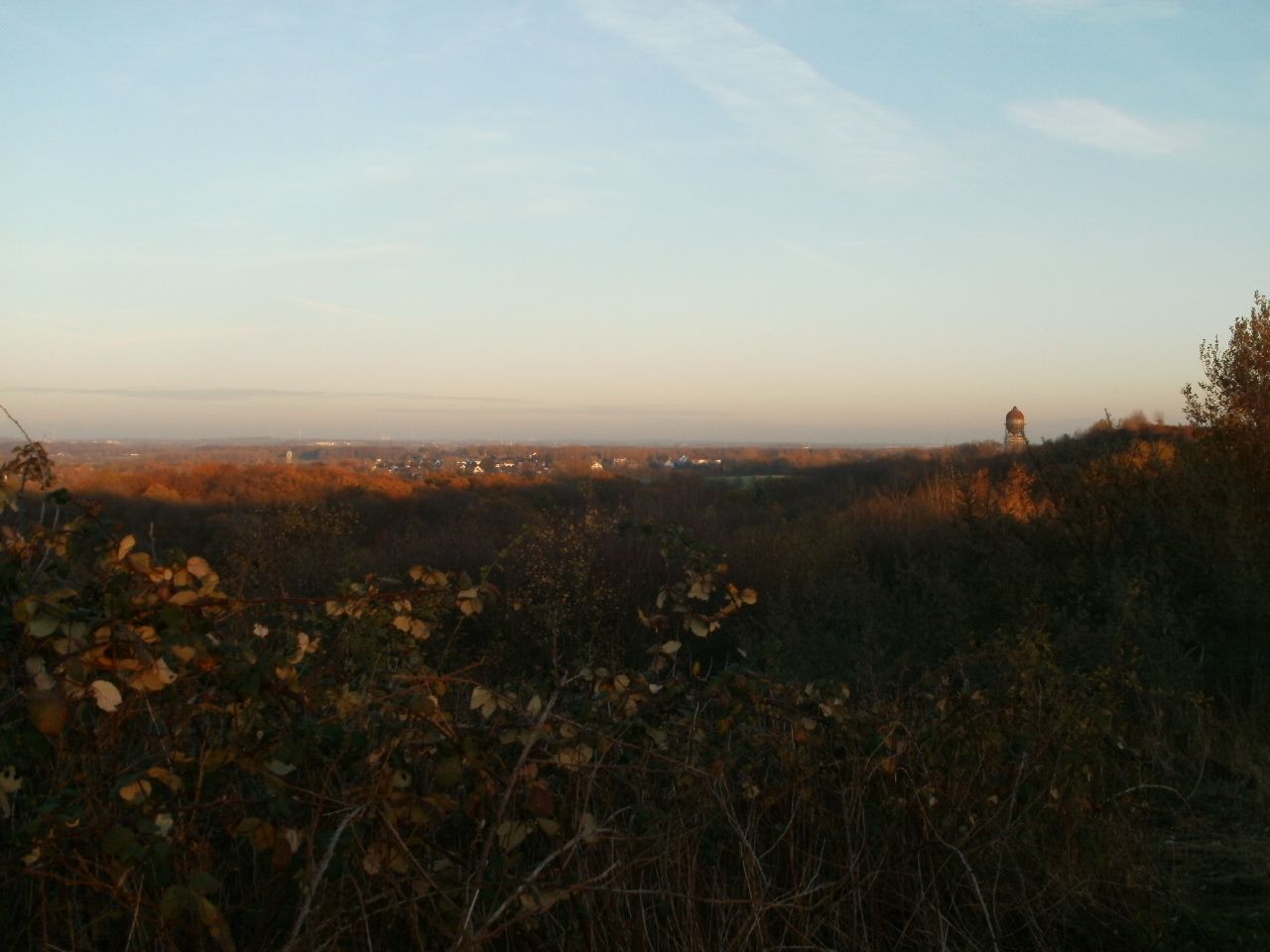 P1012496.JPG