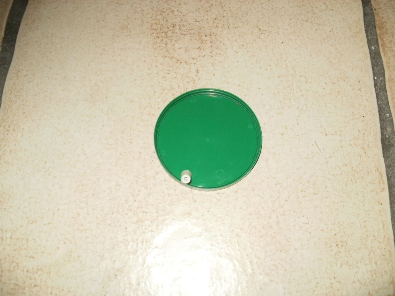 P1012919.JPG