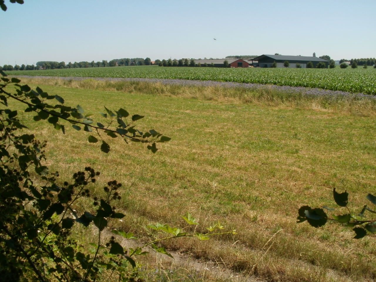 P1013469.JPG
