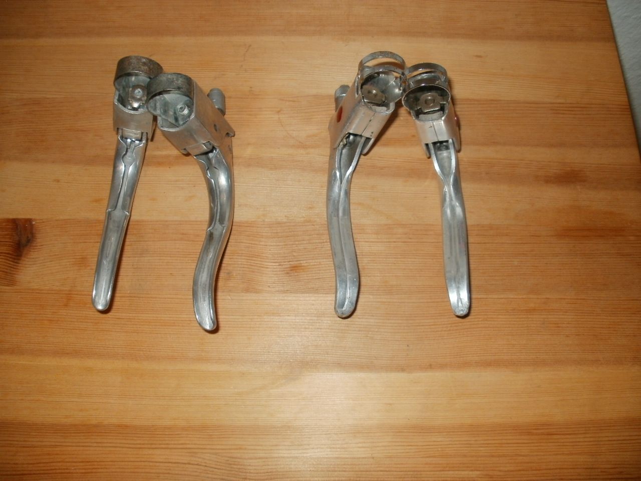 P1013779.JPG