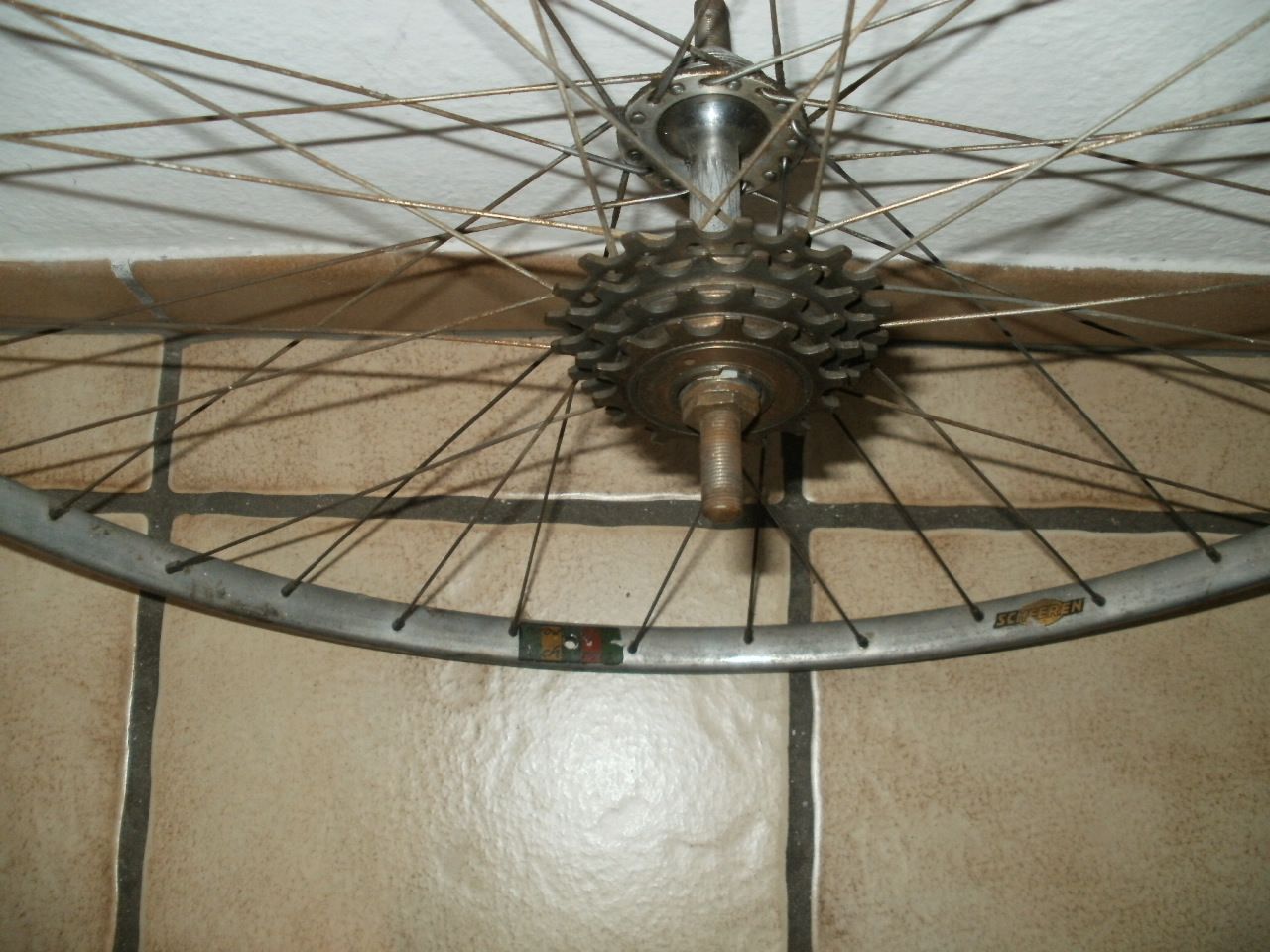 P1013811.JPG