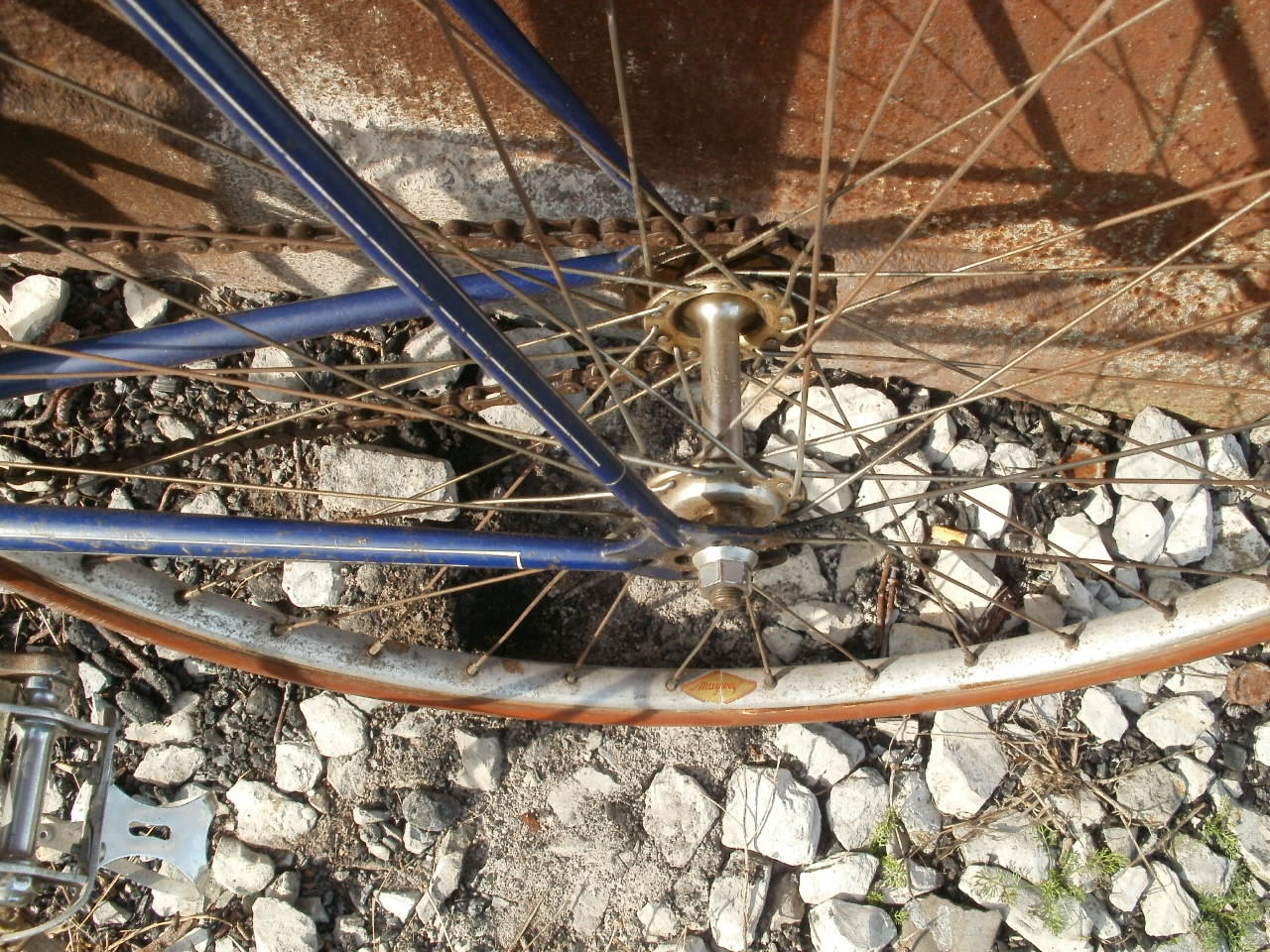 P1013840.JPG