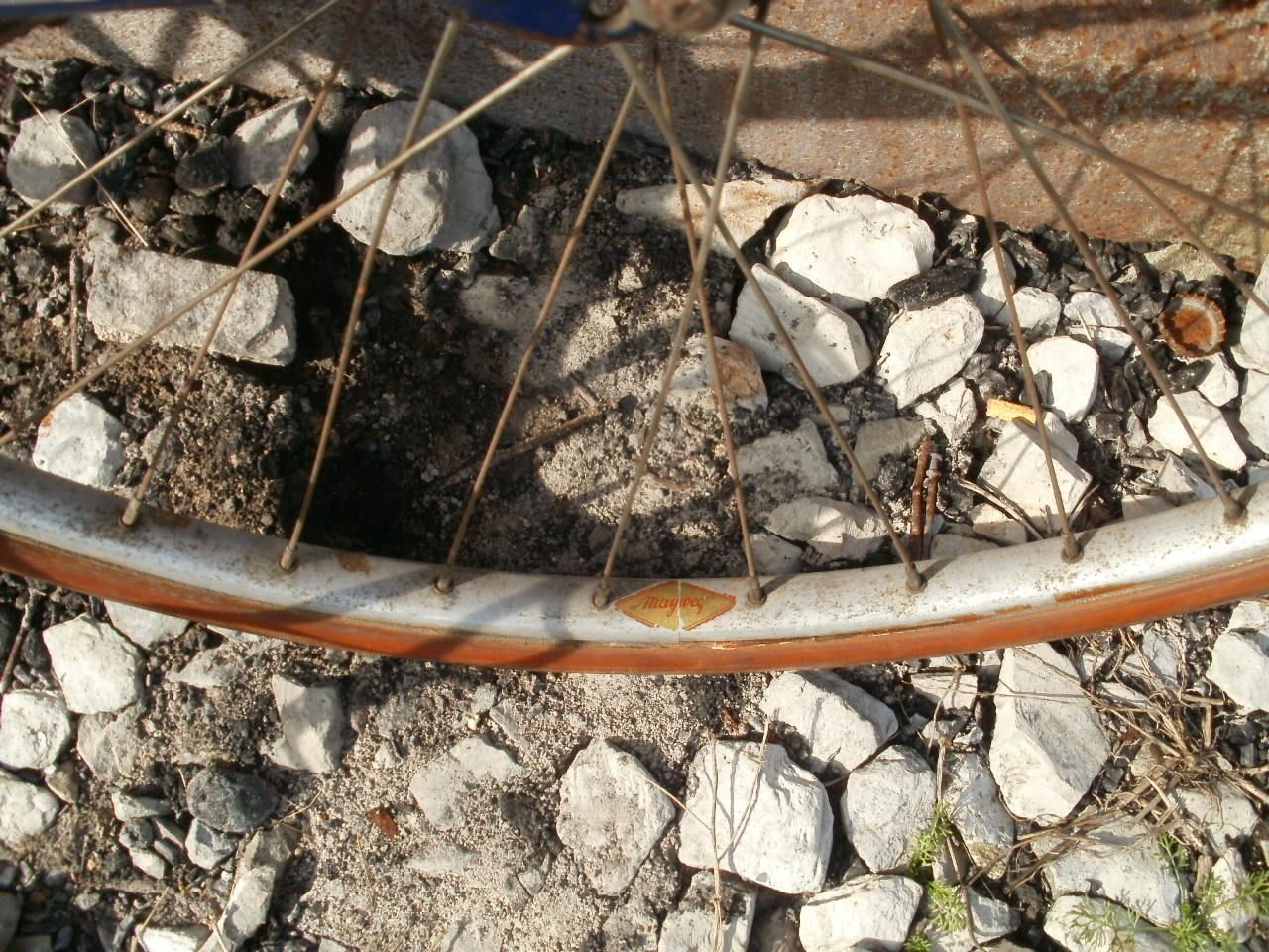 P1013842.JPG