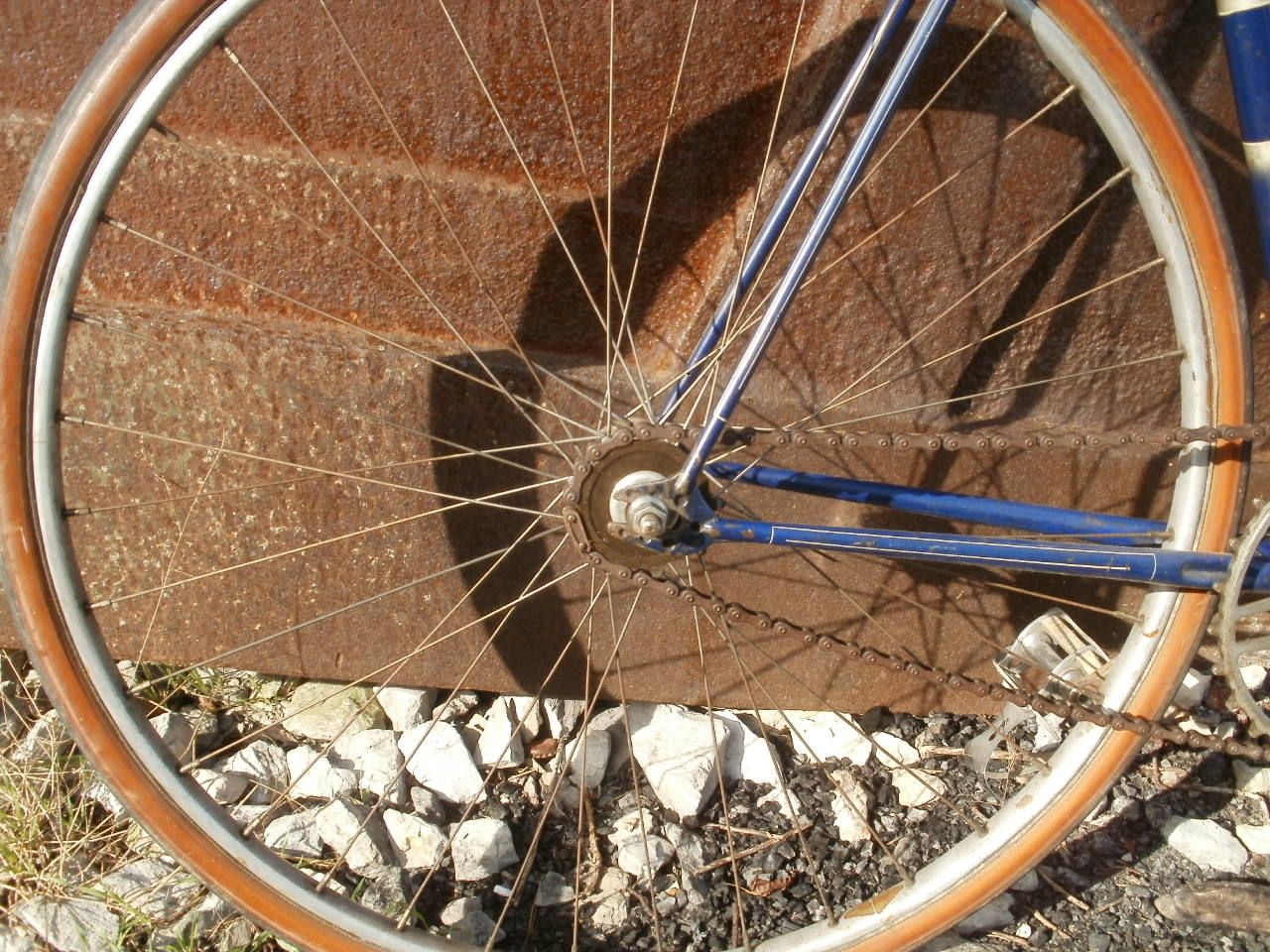 P1013849.JPG