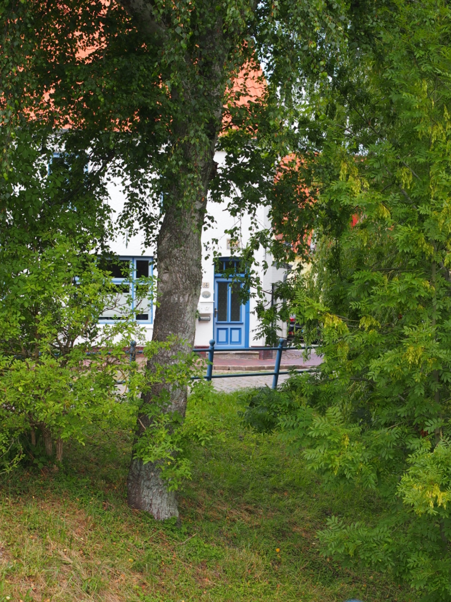 P1013949.jpeg
