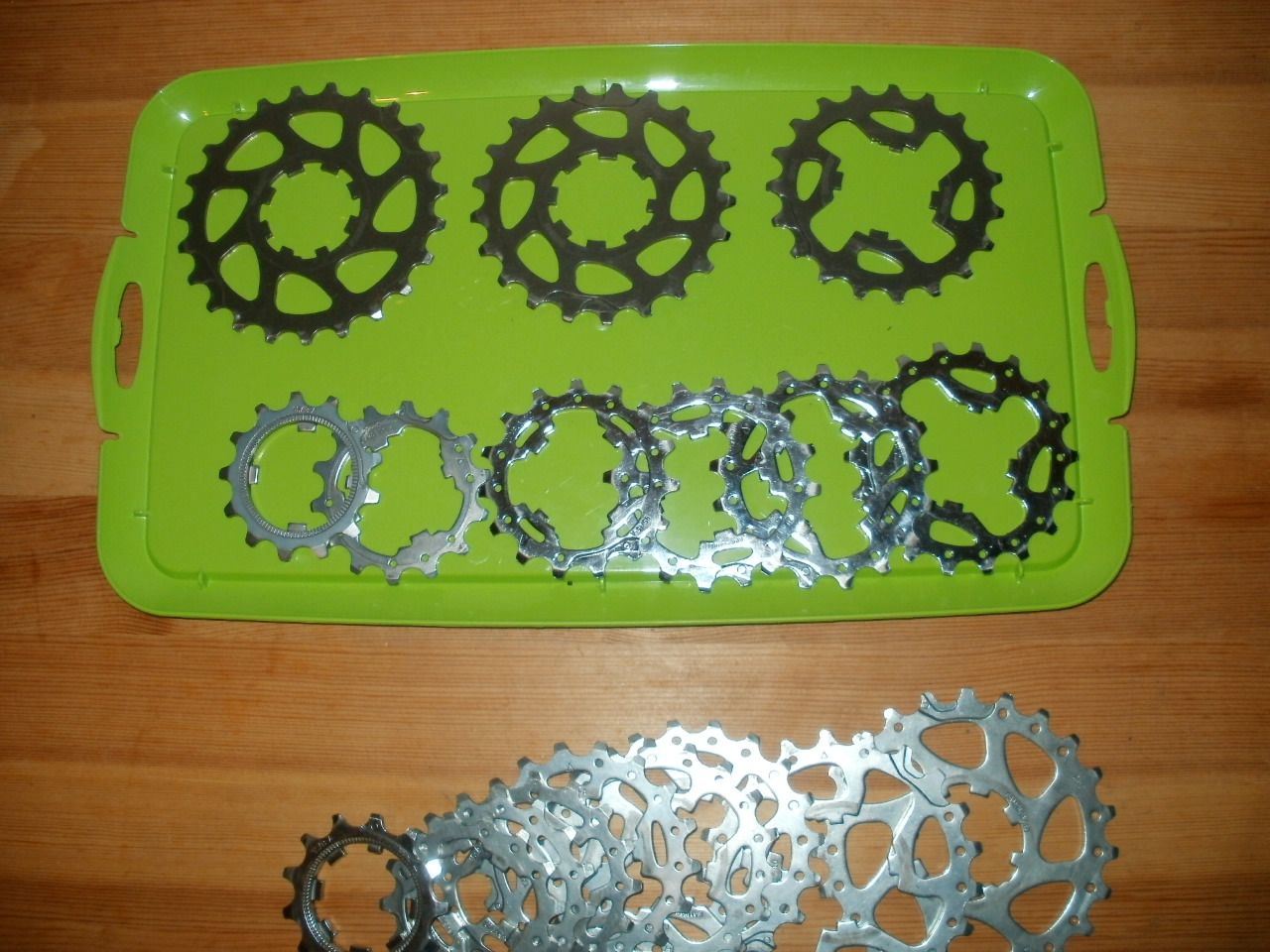 P1014161.JPG