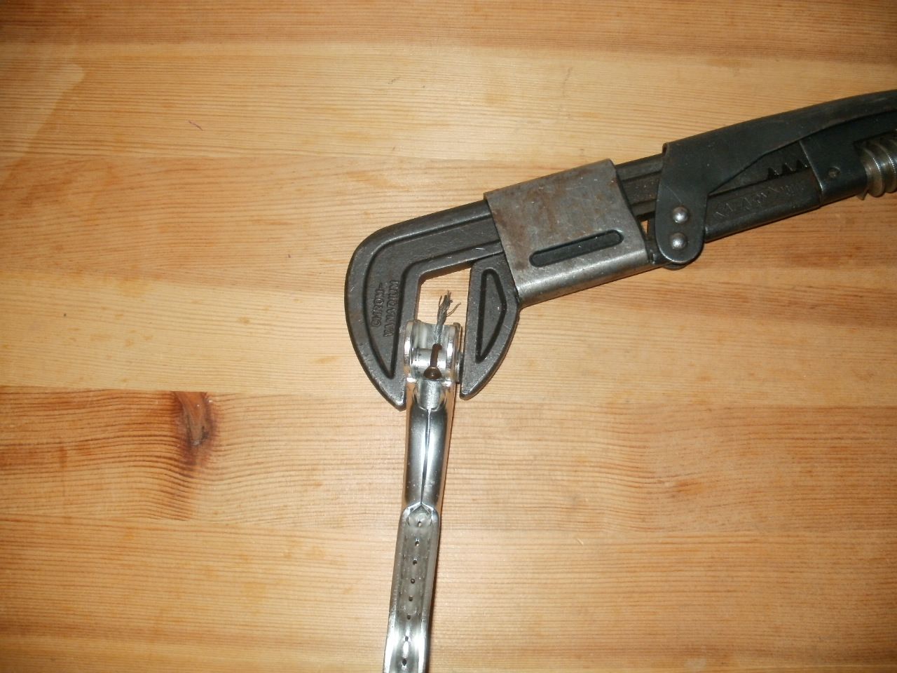 P1014753.JPG