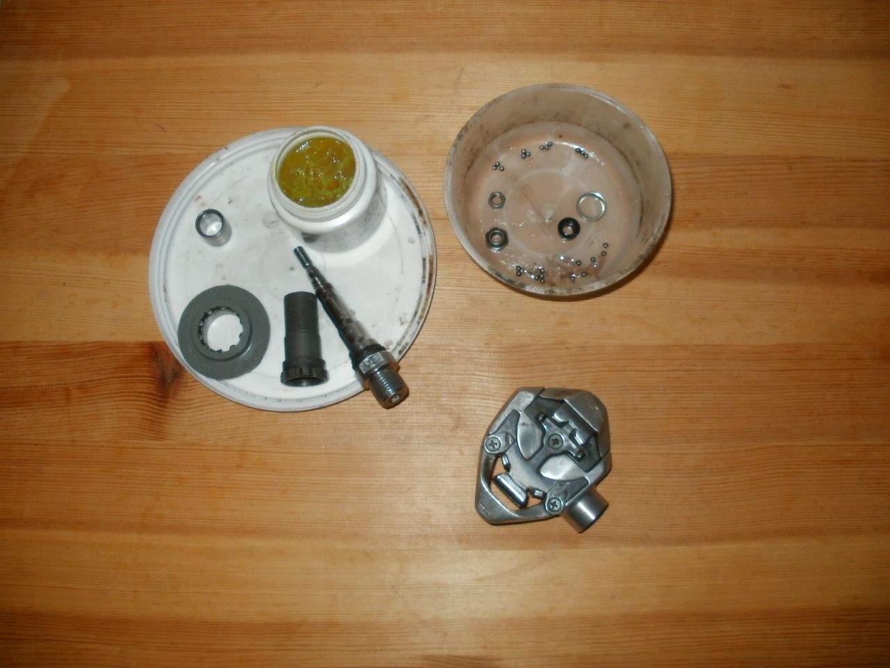 P1014788.JPG