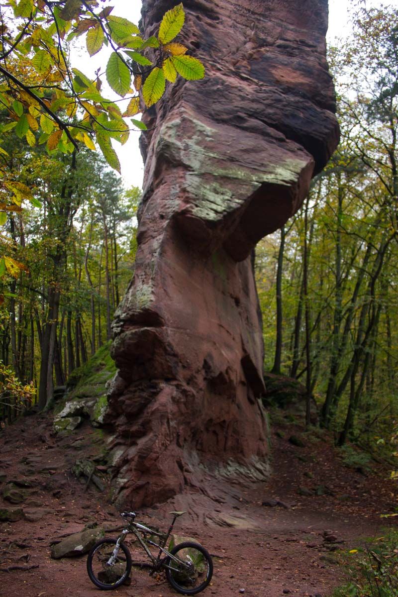 P1015210.jpg