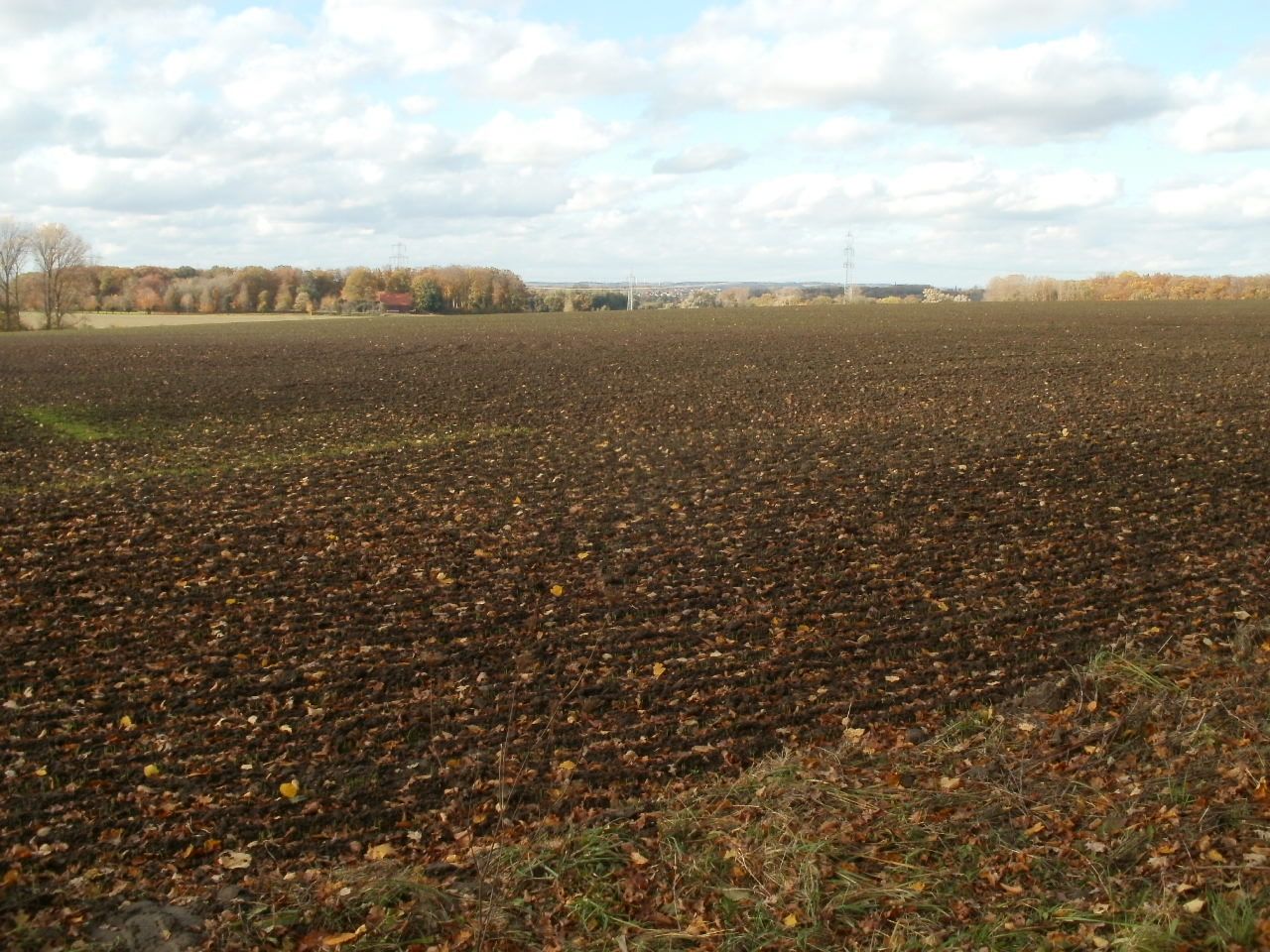 P1016038.JPG