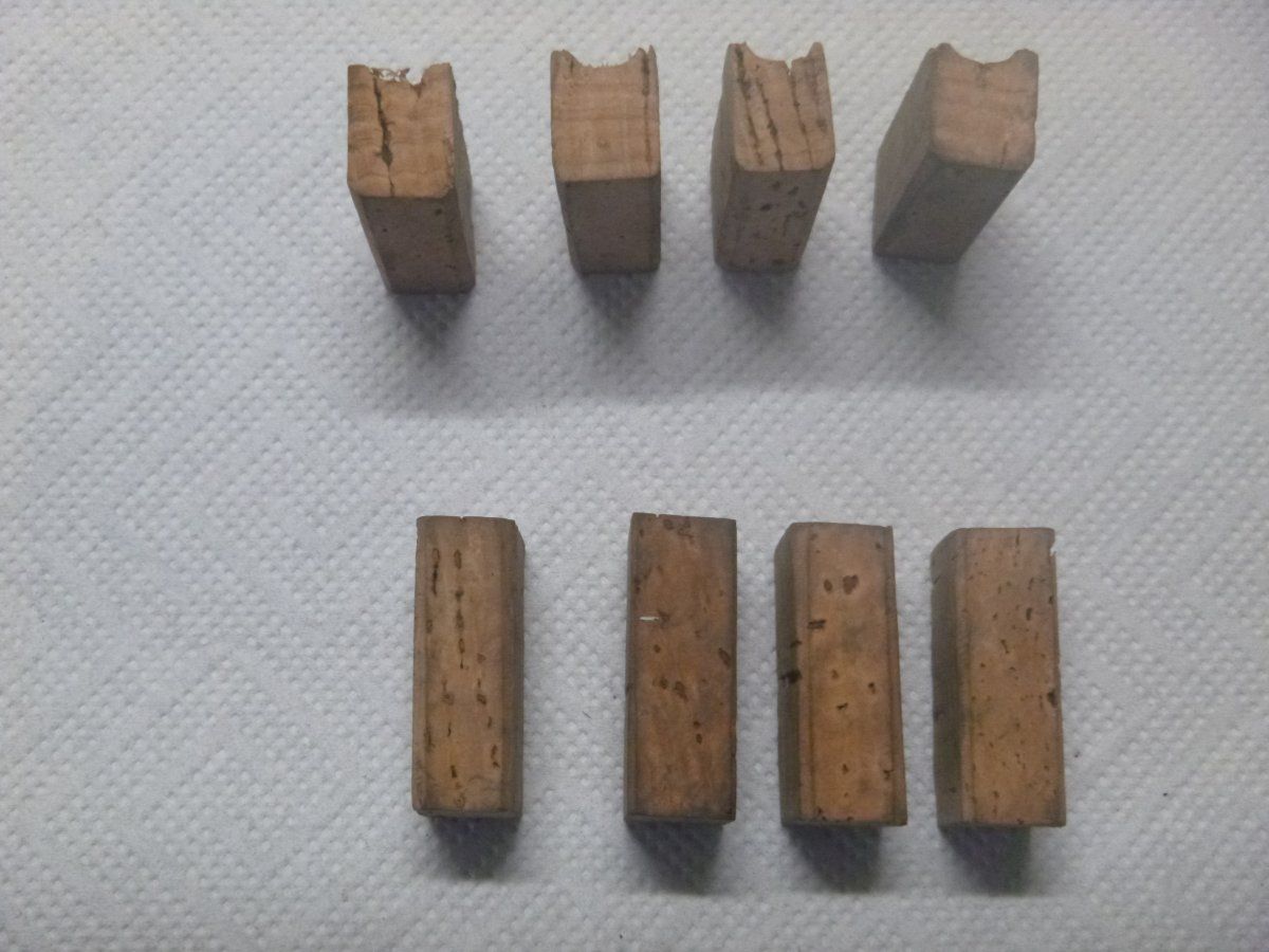 P1020083.JPG