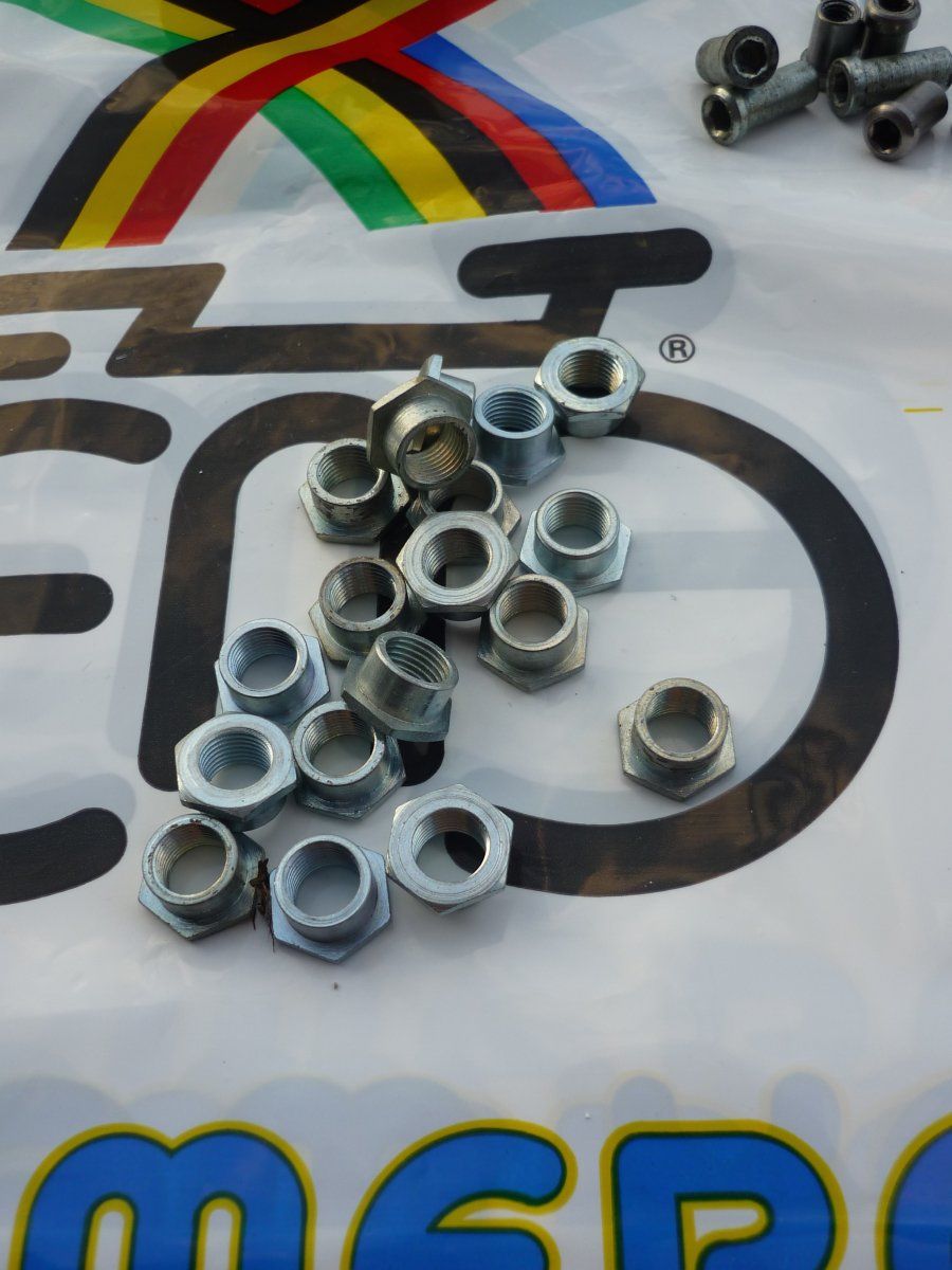P1020107.jpg