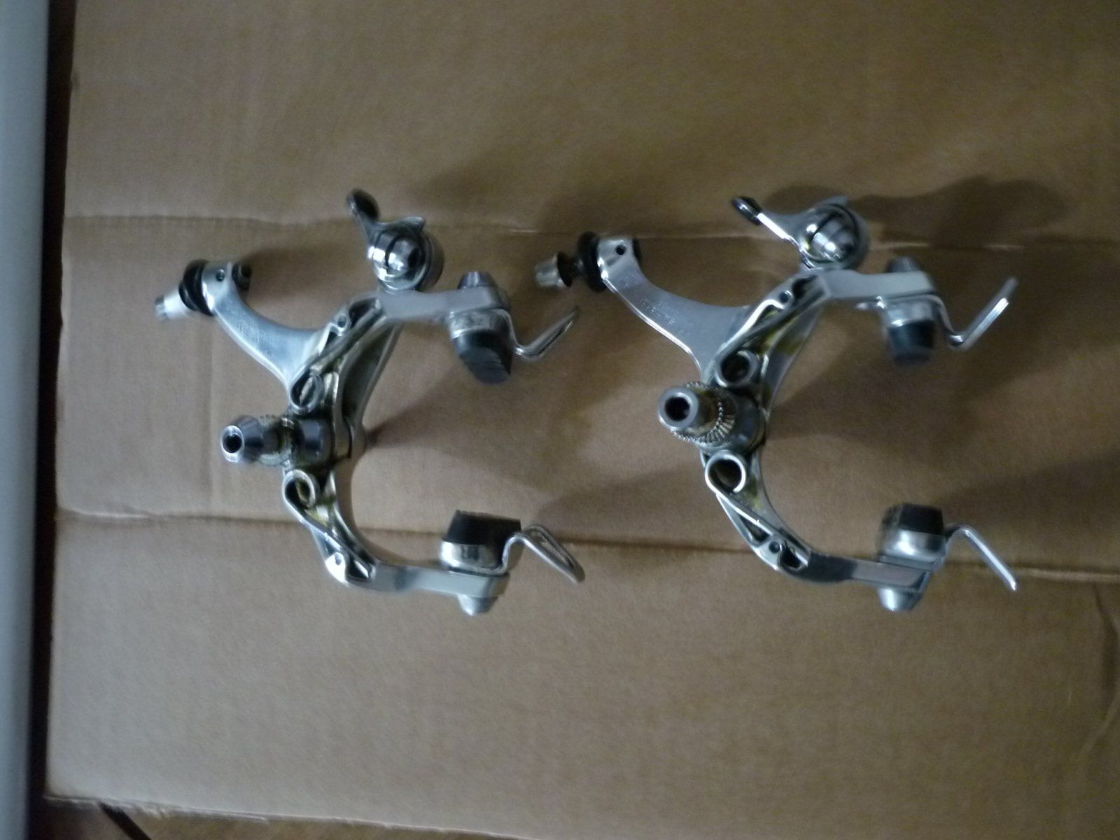 P1020149.JPG
