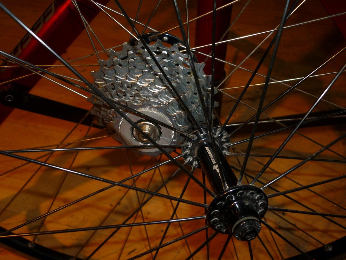 P1020198.JPG
