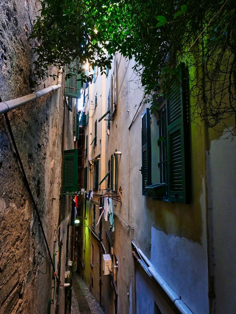 P1021283-lu.jpg