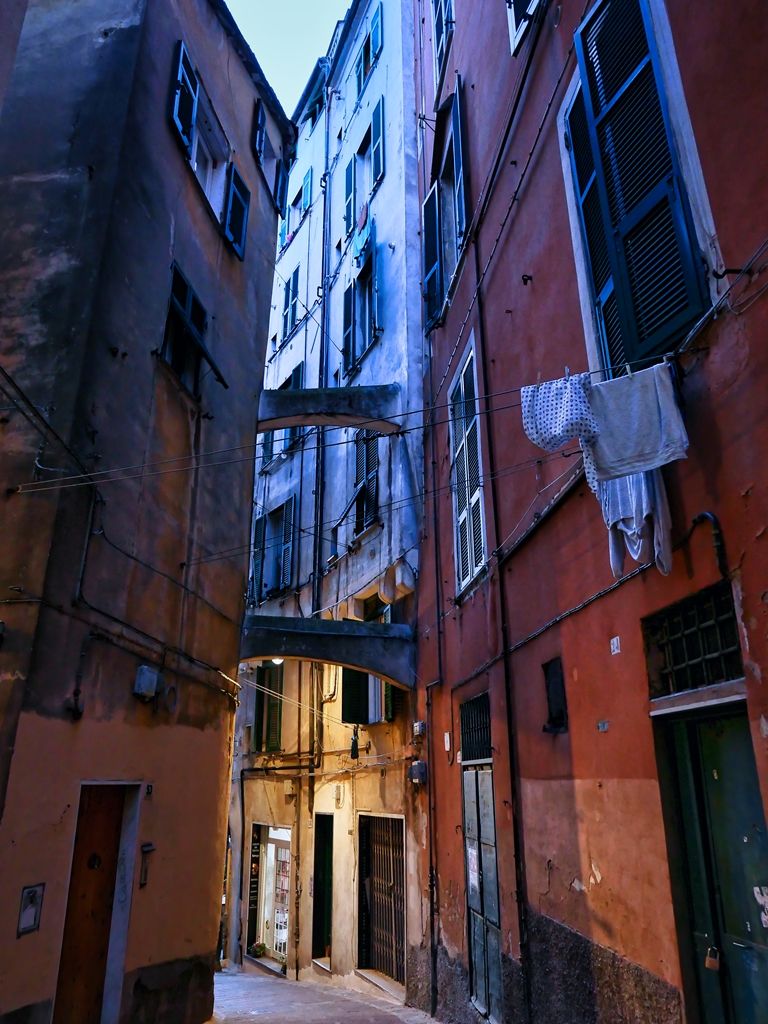 P1021294-lu.jpg