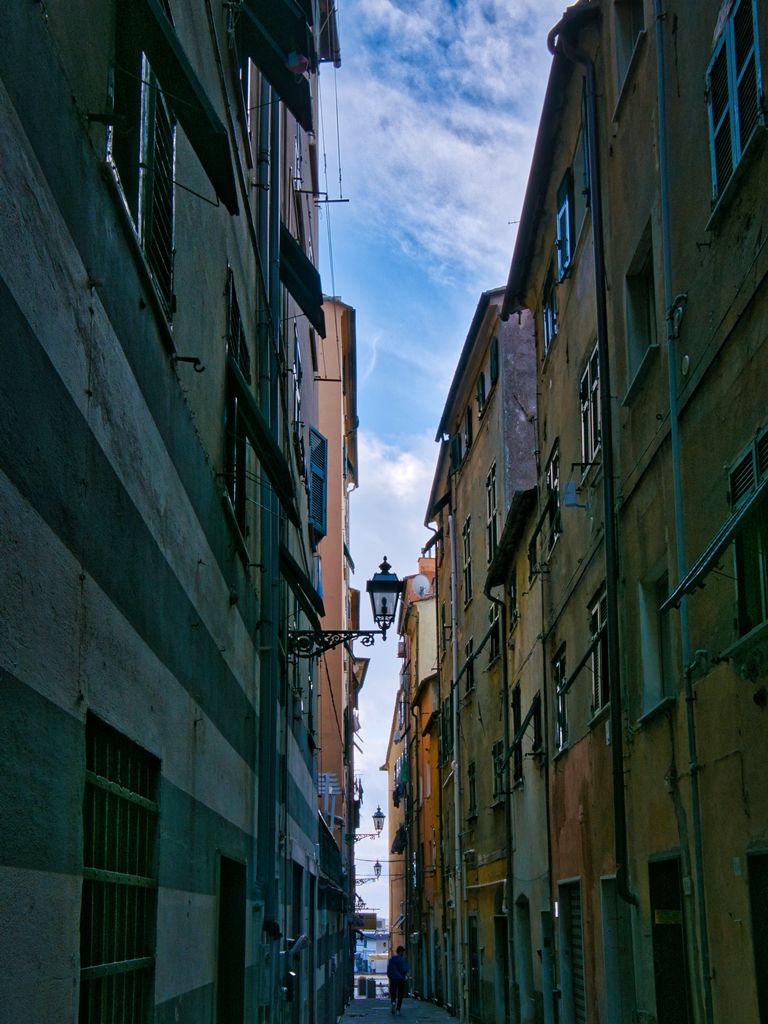 P1021494-lu.jpg