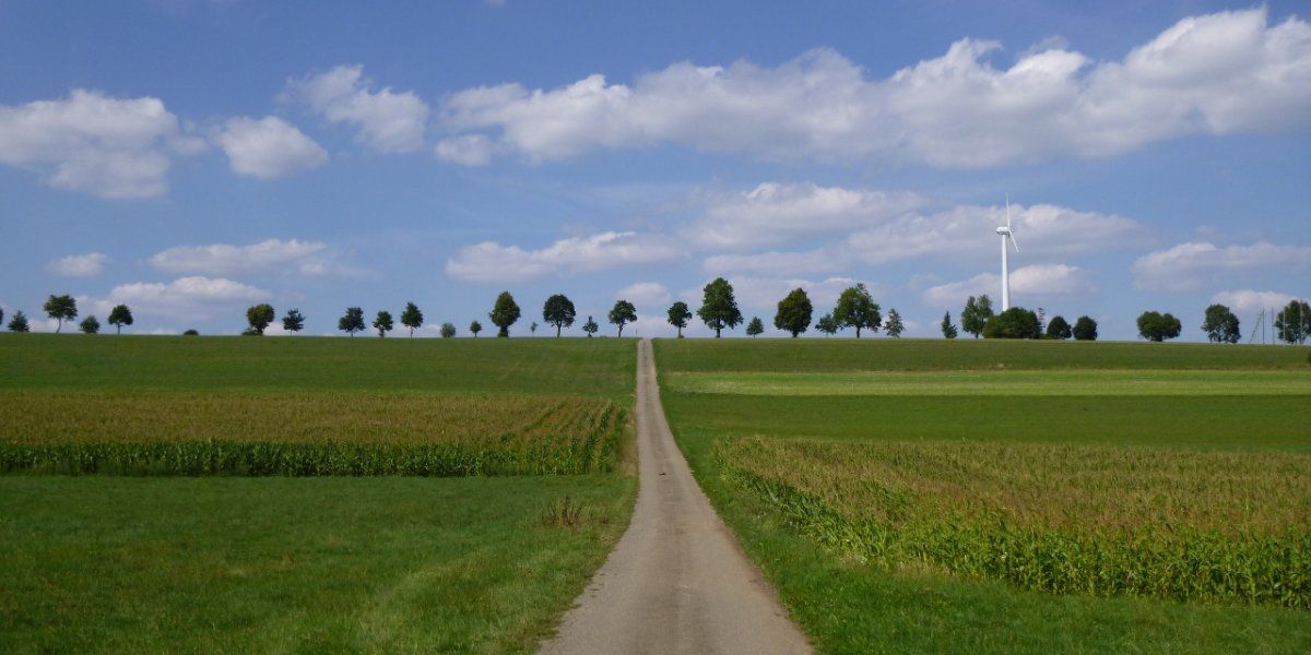 P1030731 (1280x640).jpg