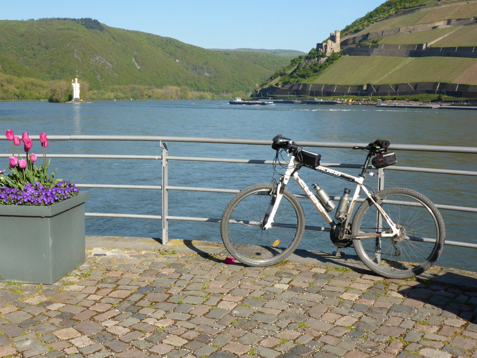 Brevet Anfänger | Rennrad-News.de