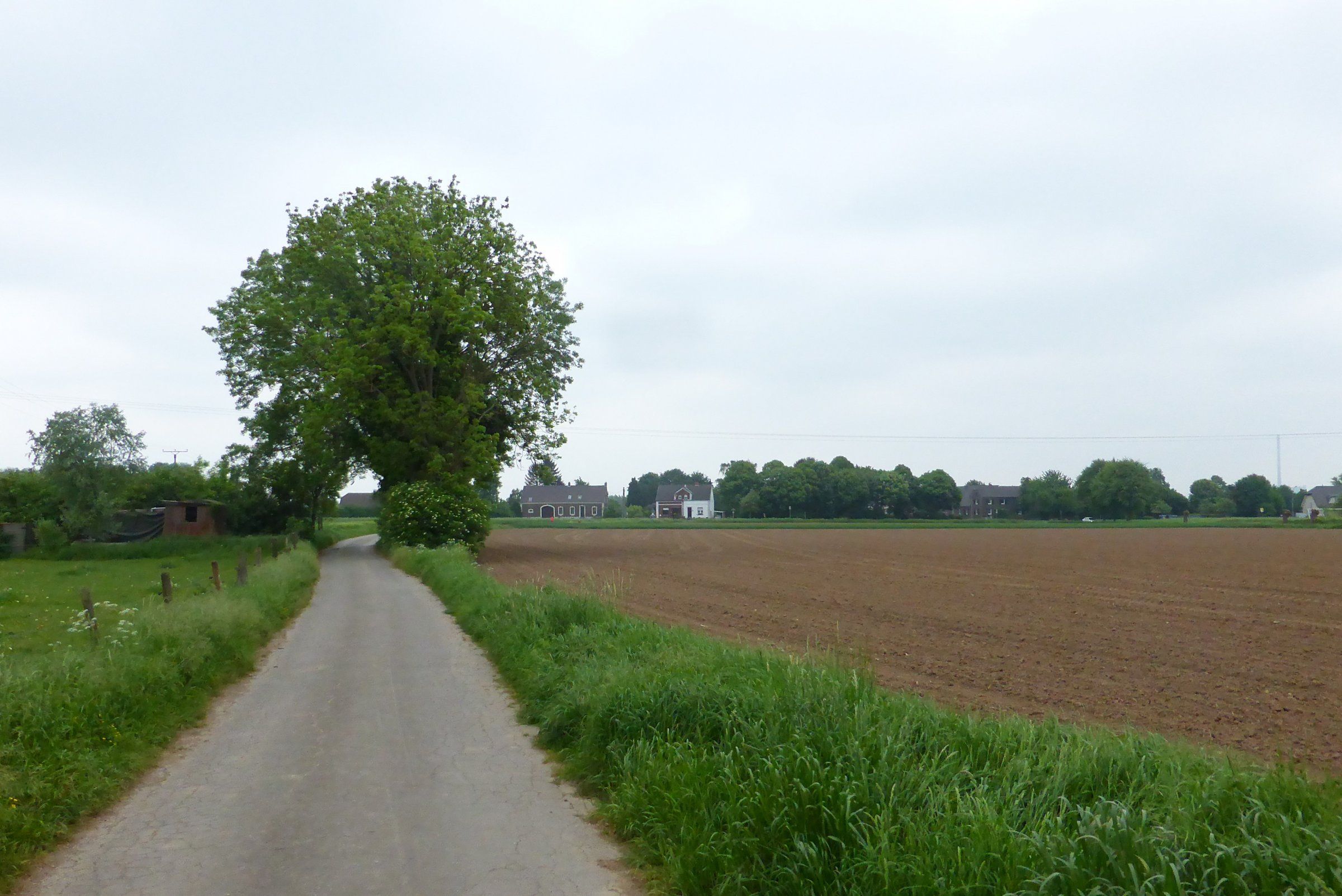 P1040182 (2).JPG