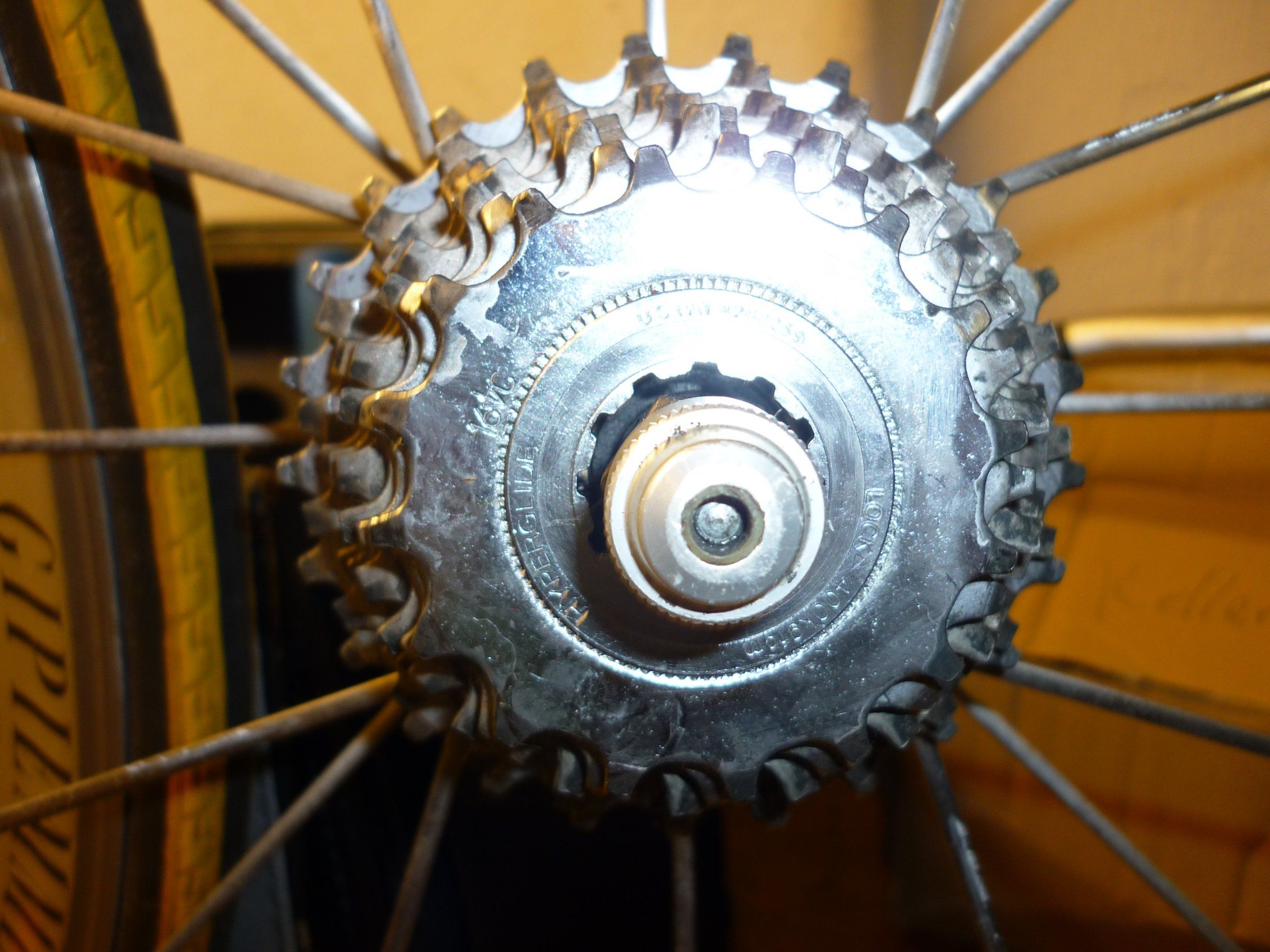 P1040911.JPG