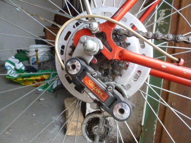 P1050711.JPG
