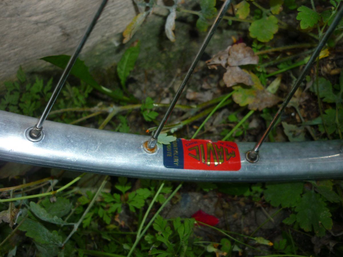 P1050916.JPG