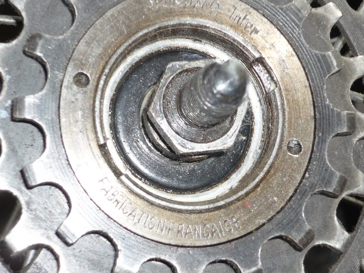 P1060228.JPG