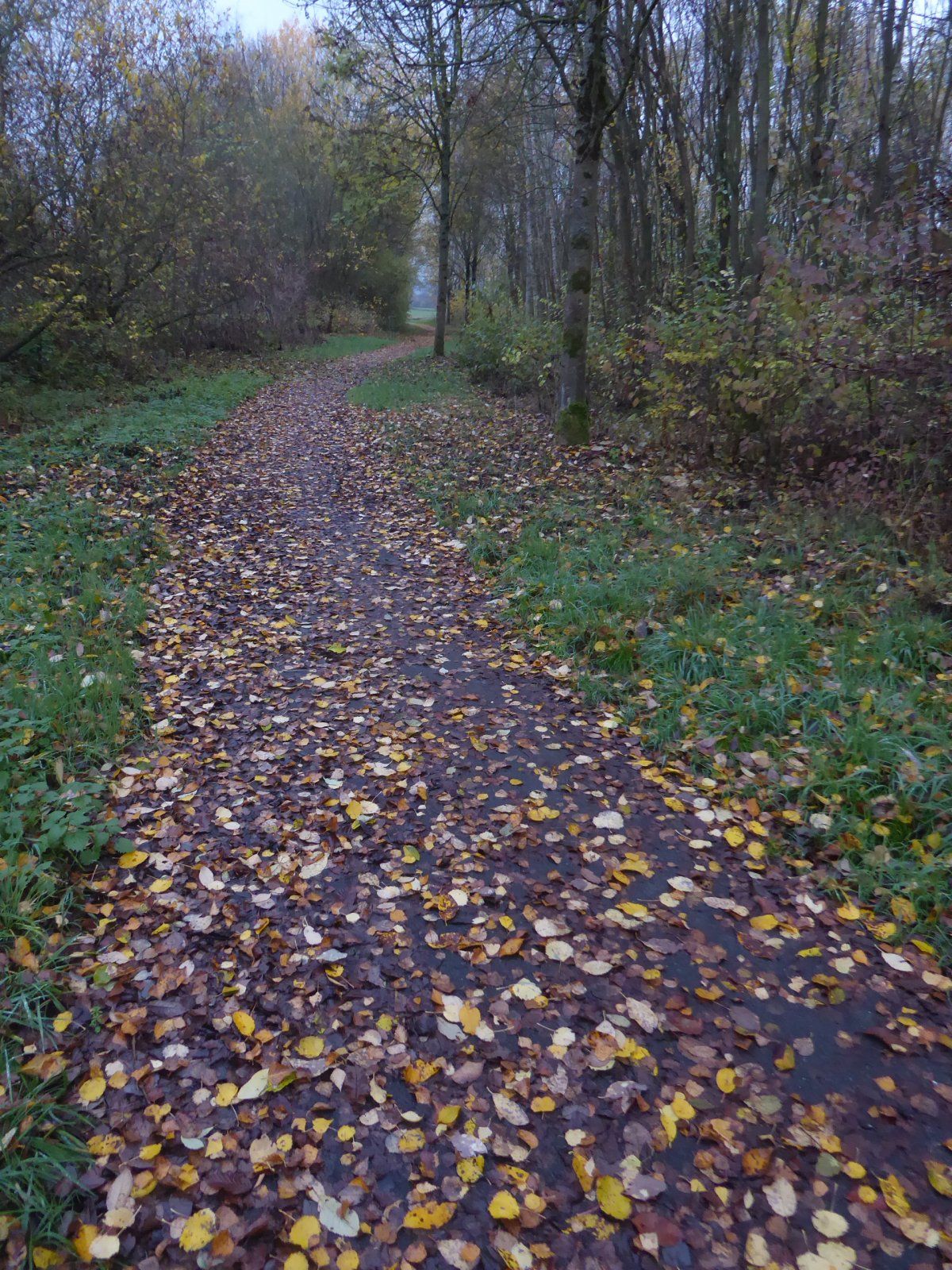 P1060846.JPG
