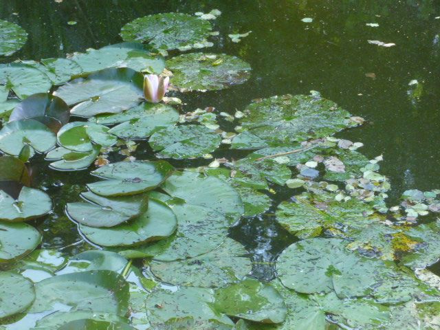 P1060891.JPG