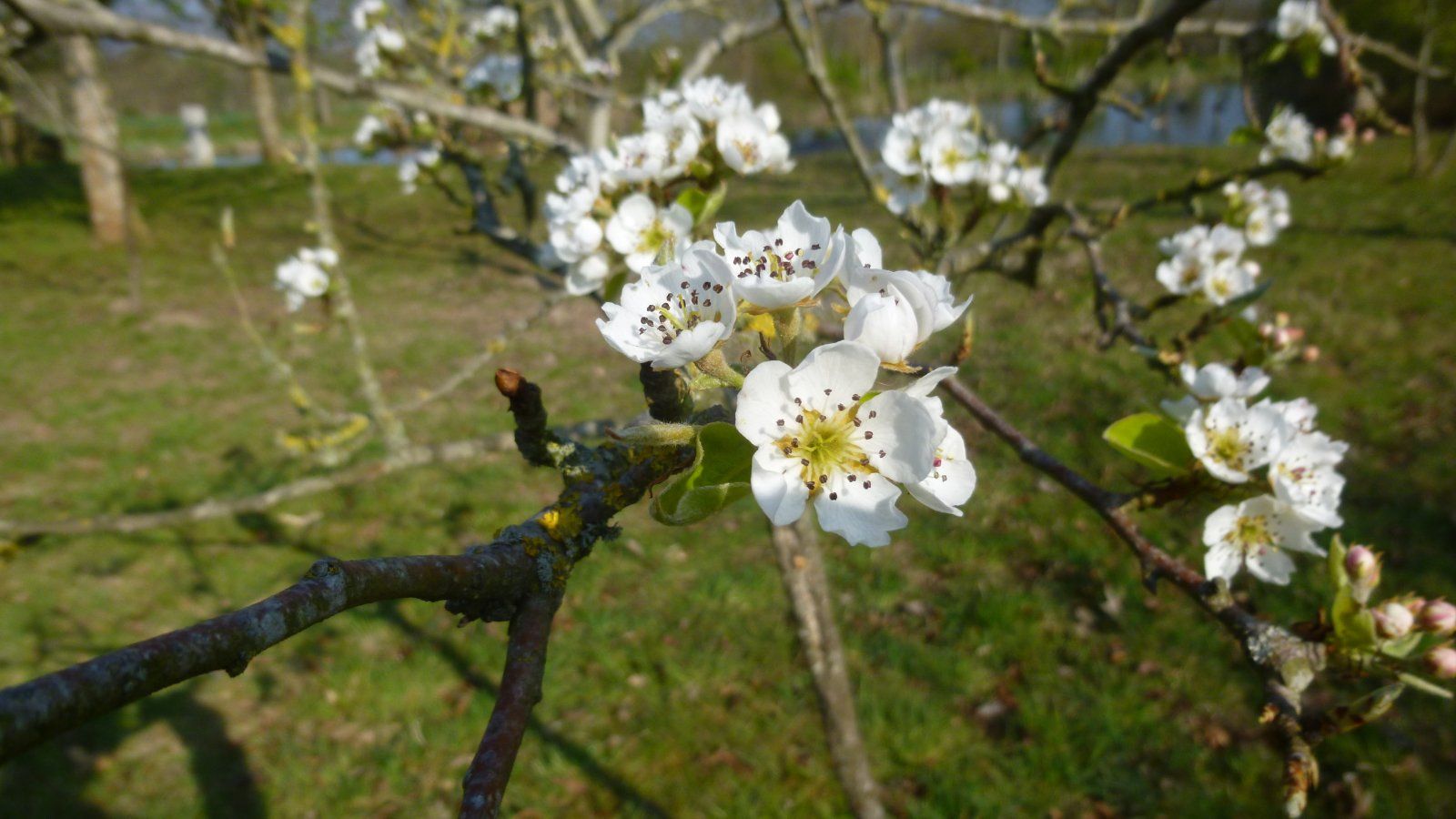 P1070005.jpg