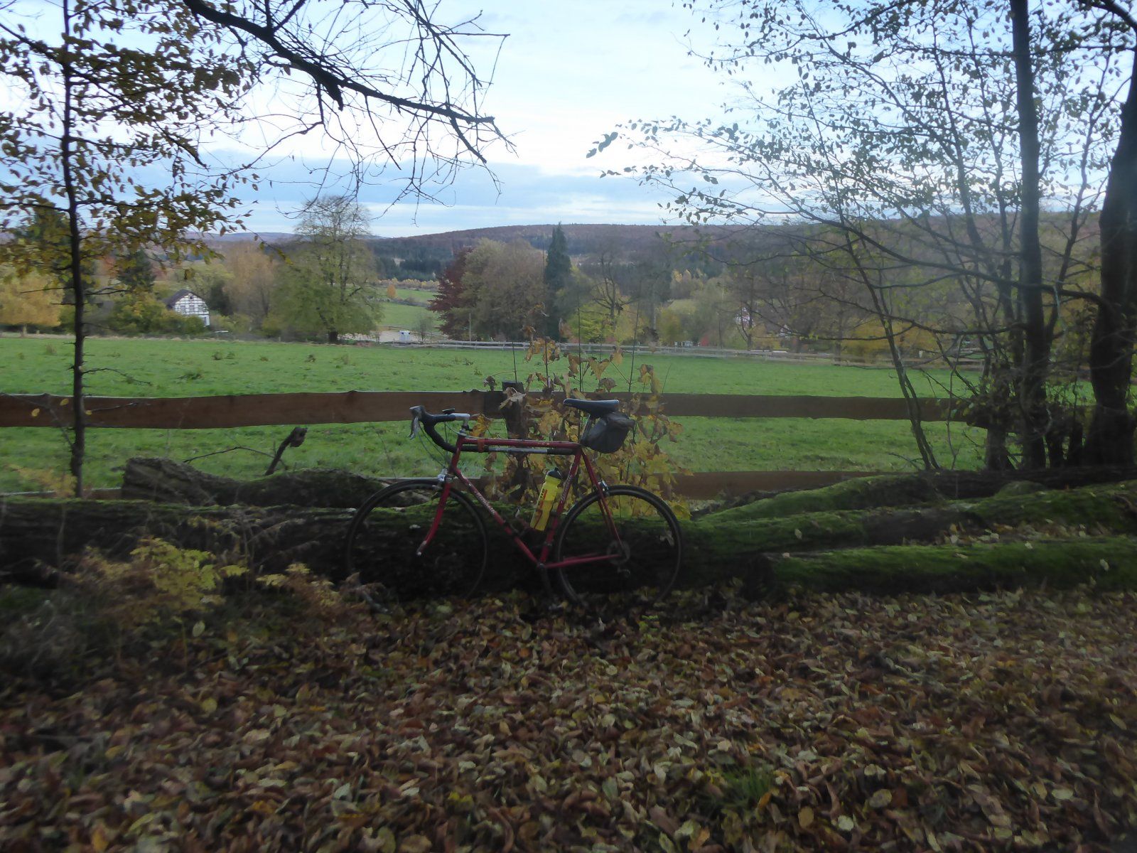 P1070225.JPG