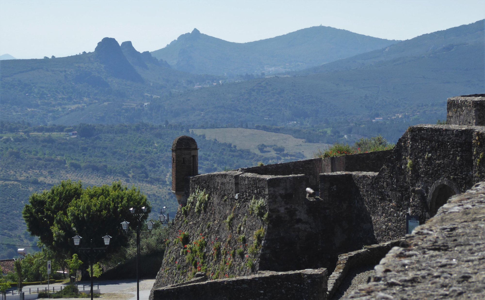 P1070870-2.jpg